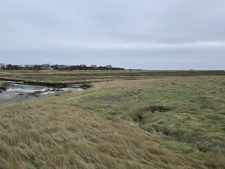 Wattenmeer in Schleswig-Holstein