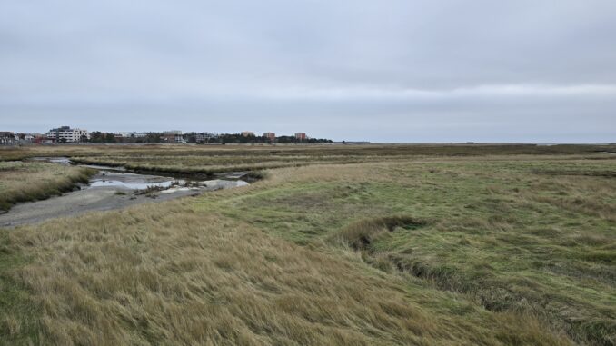 Die Küste, der Wind, meine Heimat Wattenmeer in Schleswig-Holstein